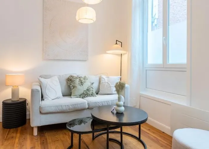 Charming Renovated And Bright In The Center Appartement Lille